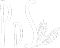 Logo PDS